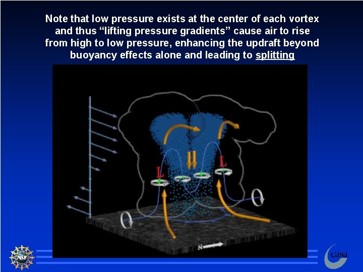Note that low pressure exists at the center of each vortex and thus “lifting