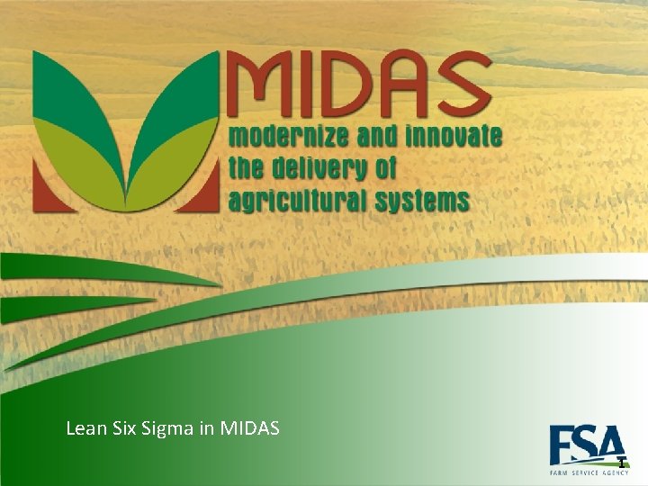 Lean Six Sigma in MIDAS 1 