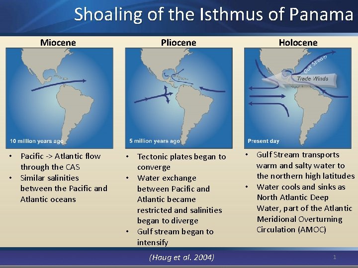 Shoaling of the Isthmus of Panama Miocene • Pacific -> Atlantic flow through the Shoaling of the Isthmus of Panama Miocene • Pacific -> Atlantic flow through the