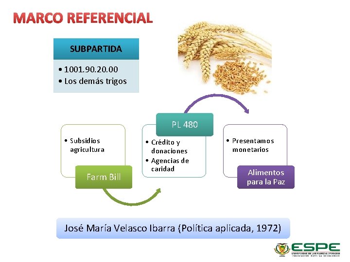 MARCO REFERENCIAL SUBPARTIDA • 1001. 90. 20. 00 • Los demás trigos PL 480