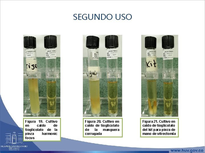 SEGUNDO USO Figura 19. Cultivo en caldo de tioglicolato de la pinza harmonic focus