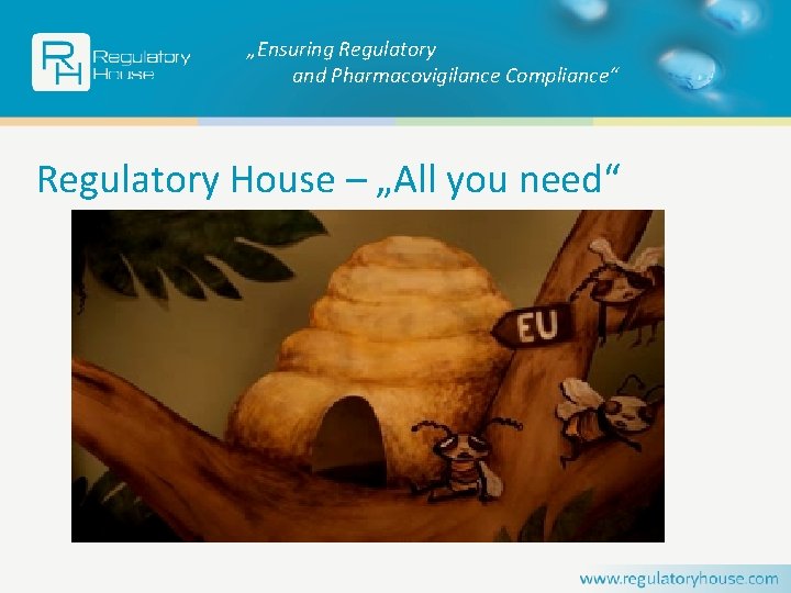 „Ensuring Regulatory and Pharmacovigilance Compliance“ Regulatory House – „All you need“ 