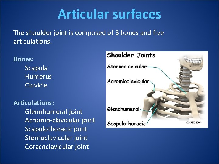 Articular surfaces The shoulder joint is composed of 3 bones and five articulations. Bones: