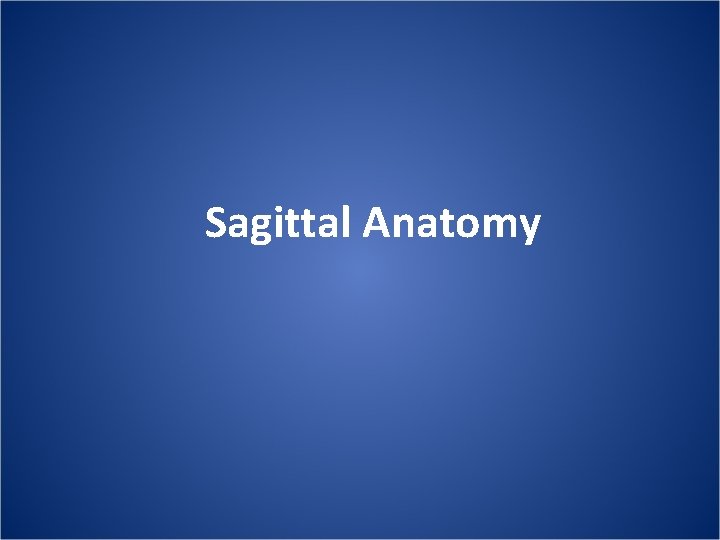 Sagittal Anatomy 