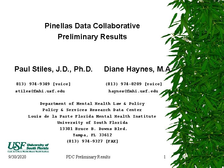 Pinellas Data Collaborative Preliminary Results Paul Stiles, J. D. , Ph. D. 813) 974