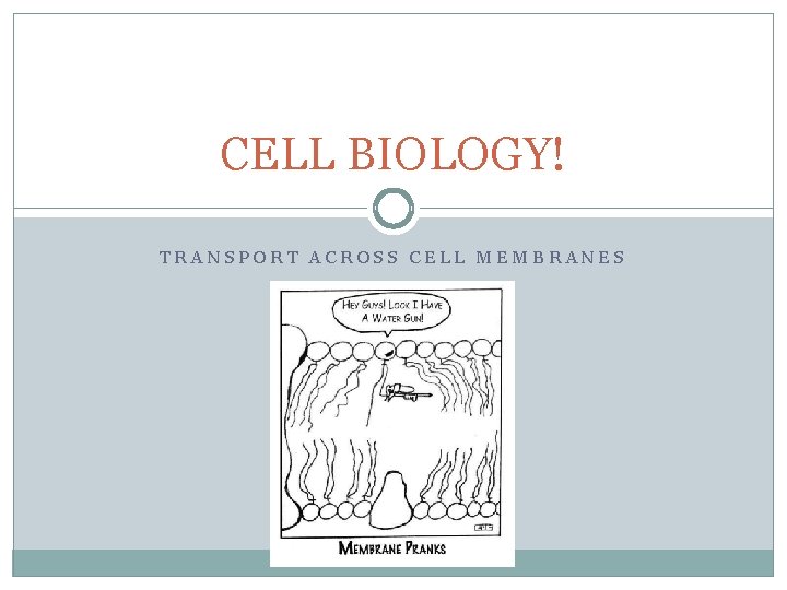 CELL BIOLOGY! TRANSPORT ACROSS CELL MEMBRANES 