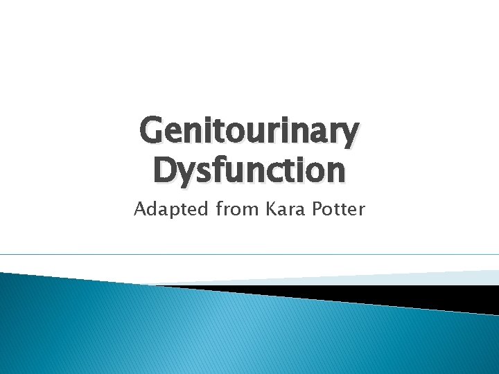 Genitourinary Dysfunction Adapted from Kara Potter Genitourinary Dysfunction Adapted from Kara Potter