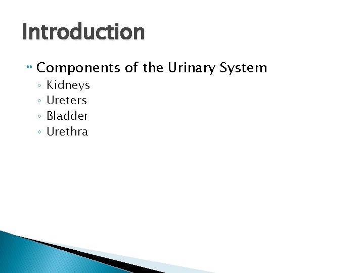 Introduction Components of the Urinary System ◦ ◦ Kidneys Ureters Bladder Urethra Introduction Components of the Urinary System ◦ ◦ Kidneys Ureters Bladder Urethra