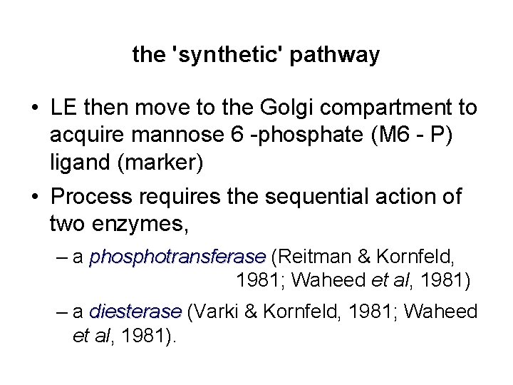 the 'synthetic' pathway • LE then move to the Golgi compartment to acquire mannose