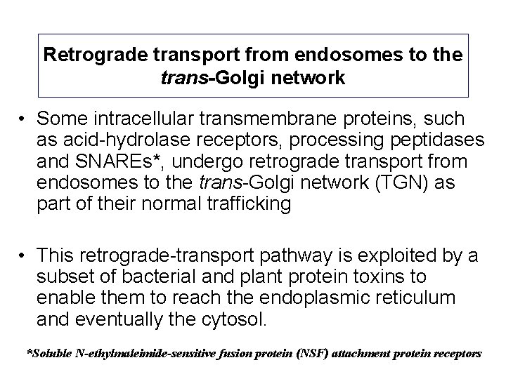 Retrograde transport from endosomes to the trans-Golgi network • Some intracellular transmembrane proteins, such