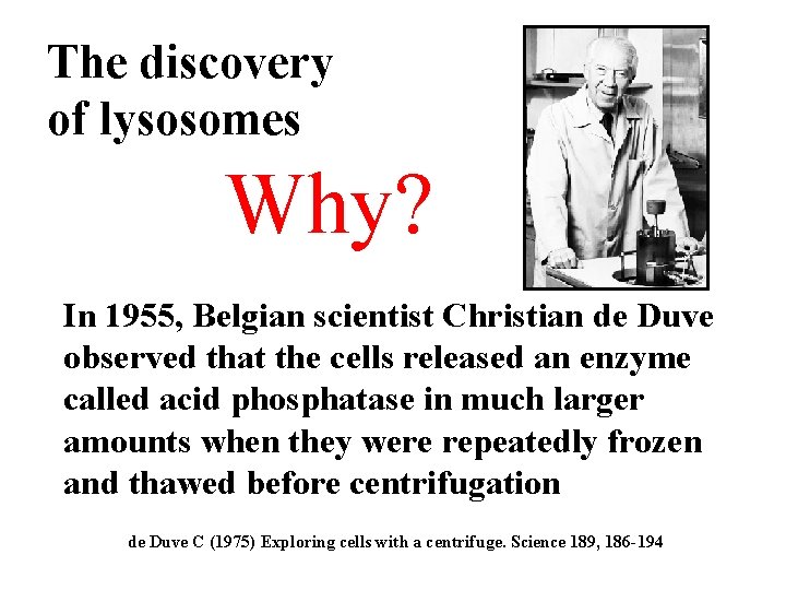 The discovery of lysosomes Why? In 1955, Belgian scientist Christian de Duve observed that