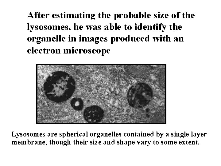 After estimating the probable size of the lysosomes, he was able to identify the