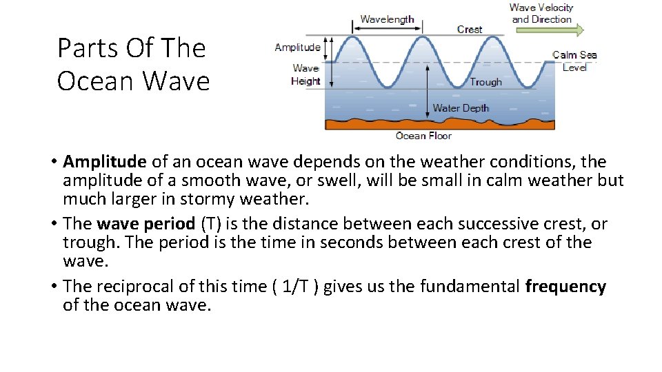Parts Of The Ocean Wave • Amplitude of an ocean wave depends on the