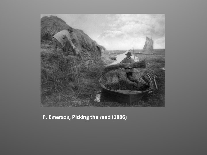 P. Emerson, Picking the reed (1886) 