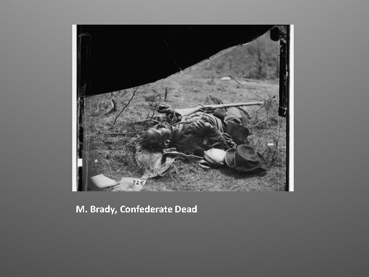 M. Brady, Confederate Dead 