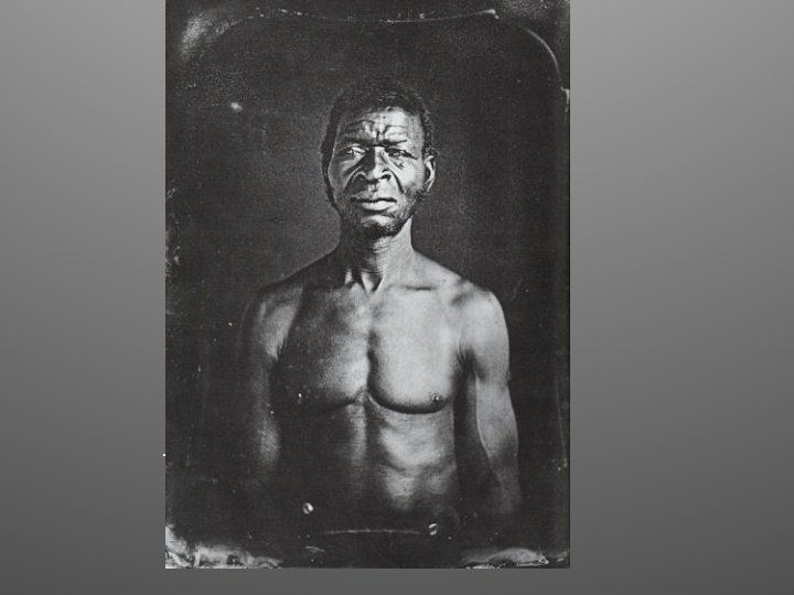 JT Zealy, Jack, 1850 
