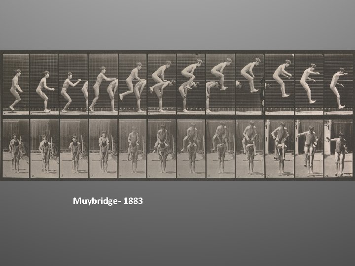 Muybridge- 1883 