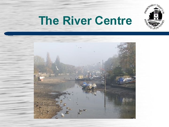 The River Centre 