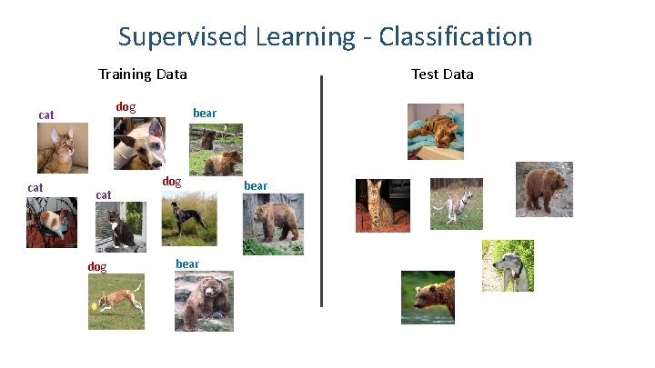 Supervised Learning - Classification Test Data Training Data dog cat cat dog bear 11