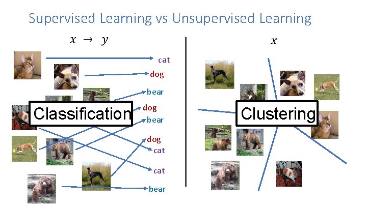 Supervised Learning vs Unsupervised Learning cat dog bear Classification dog bear dog cat bear