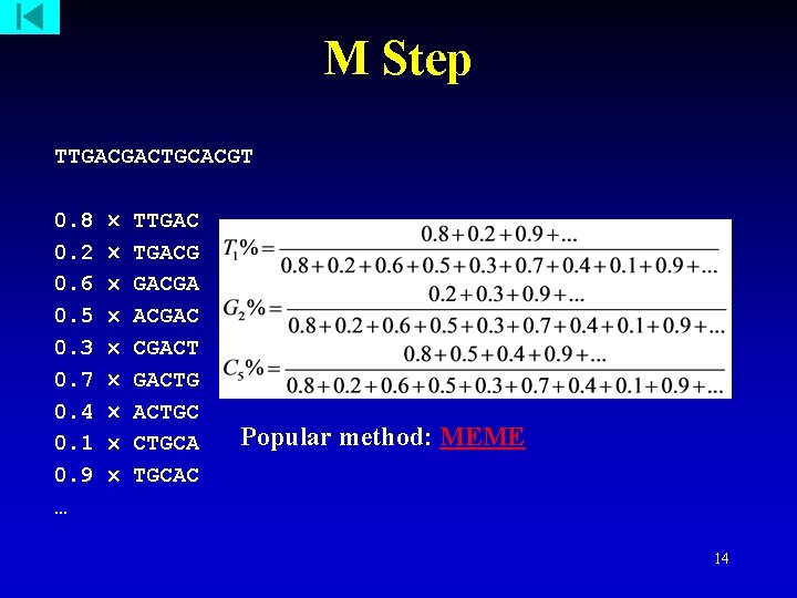 M Step TTGACGACTGCACGT 0. 8 0. 2 0. 6 0. 5 0. 3 0.