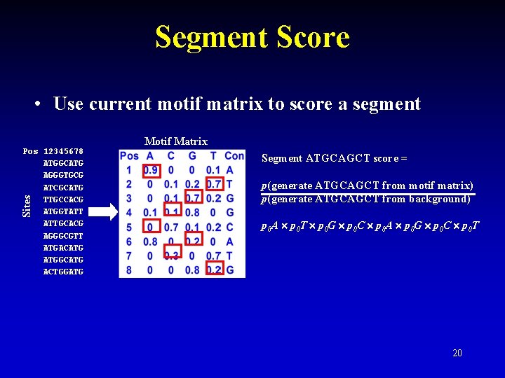 Segment Score • Use current motif matrix to score a segment Sites Pos 12345678