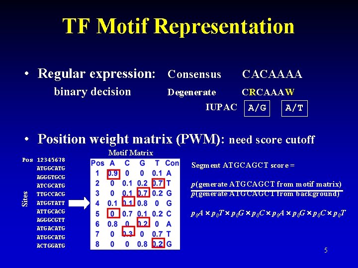 TF Motif Representation • Regular expression: Consensus binary decision CACAAAA Degenerate CRCAAAW IUPAC A/G