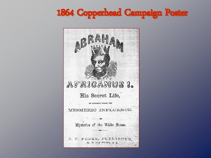 1864 Copperhead Campaign Poster 