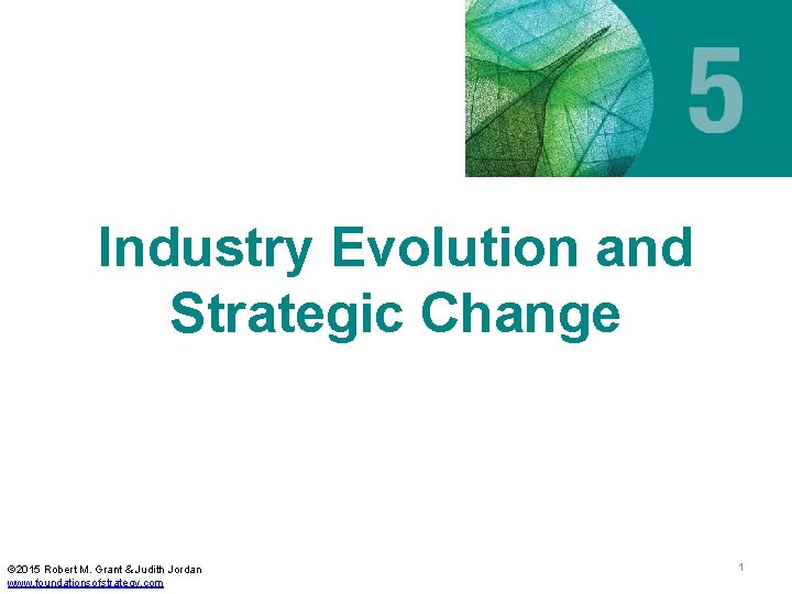 Industry Evolution and Strategic Change © 2015 Robert M. Grant & Judith Jordan www.