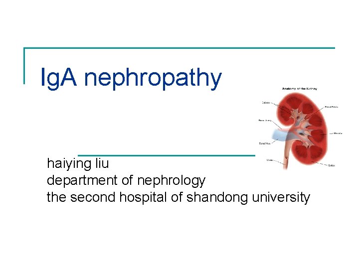 Ig. A nephropathy haiying liu department of nephrology the second hospital of shandong university