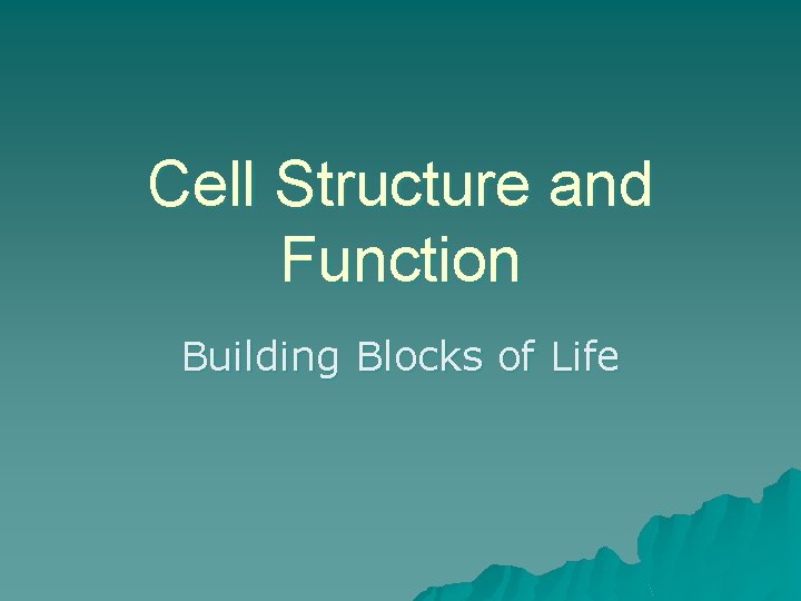 Cell Structure and Function Building Blocks of Life