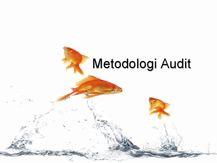 Metodologi Audit Metodologi Audit