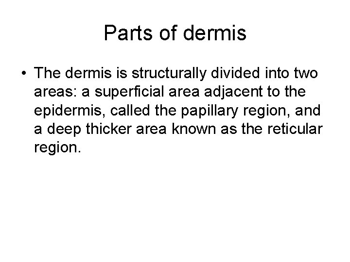 Parts of dermis • The dermis is structurally divided into two areas: a superficial