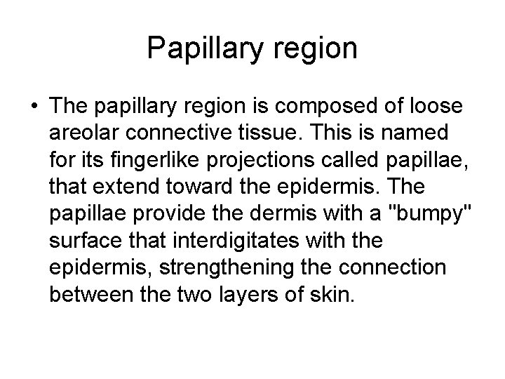 Papillary region • The papillary region is composed of loose areolar connective tissue. This