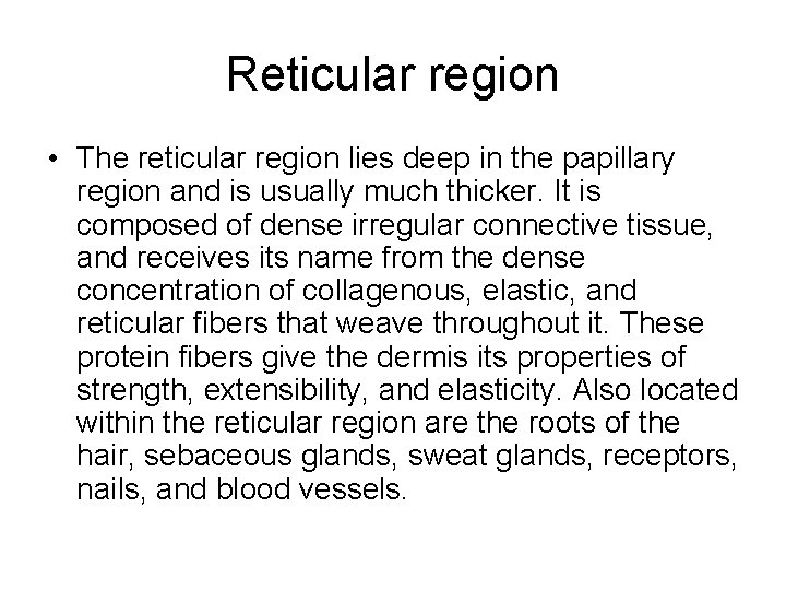 Reticular region • The reticular region lies deep in the papillary region and is