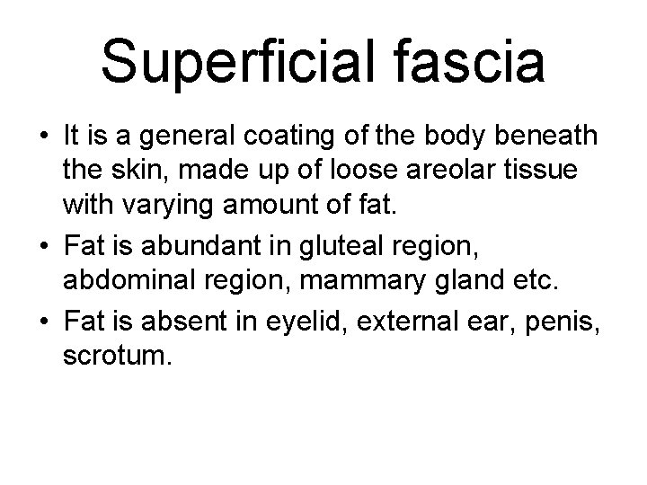 Superficial fascia • It is a general coating of the body beneath the skin,