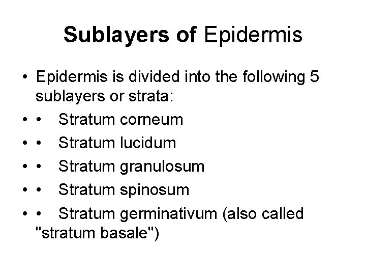 Sublayers of Epidermis • Epidermis is divided into the following 5 sublayers or strata: