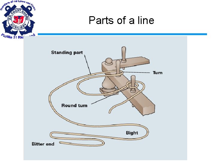 Parts of a line 