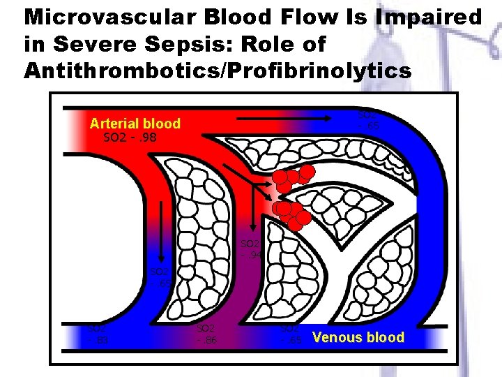 Microvascular Blood Flow Is Impaired in Severe Sepsis: Role of Antithrombotics/Profibrinolytics SO 2 -.