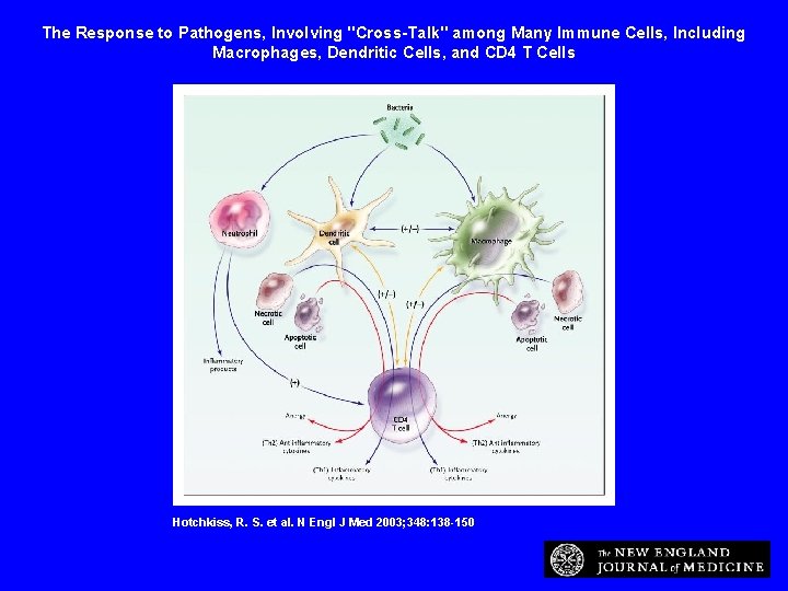 The Response to Pathogens, Involving "Cross-Talk" among Many Immune Cells, Including Macrophages, Dendritic Cells,