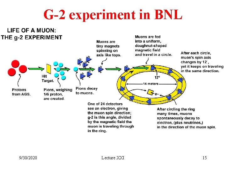 G-2 experiment in BNL 9/30/2020 Lecture XXI 15 G-2 experiment in BNL 9/30/2020 Lecture XXI 15