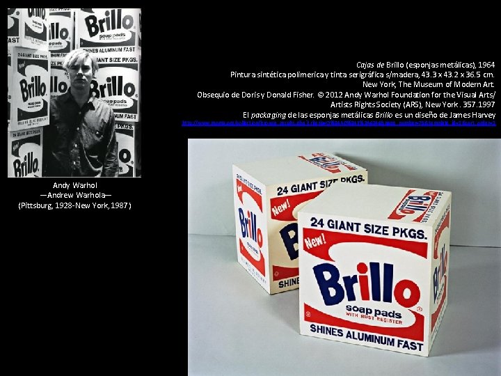 Cajas de Brillo (esponjas metálicas), 1964 Pintura sintética polimerica y tinta serigráfica s/madera, 43.
