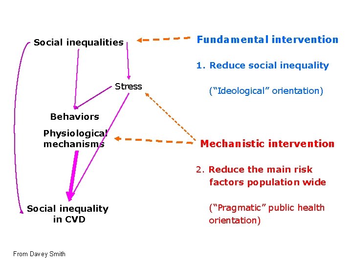 Social inequalities Fundamental intervention 1. Reduce social inequality Stress (“Ideological” orientation) Behaviors Physiological mechanisms