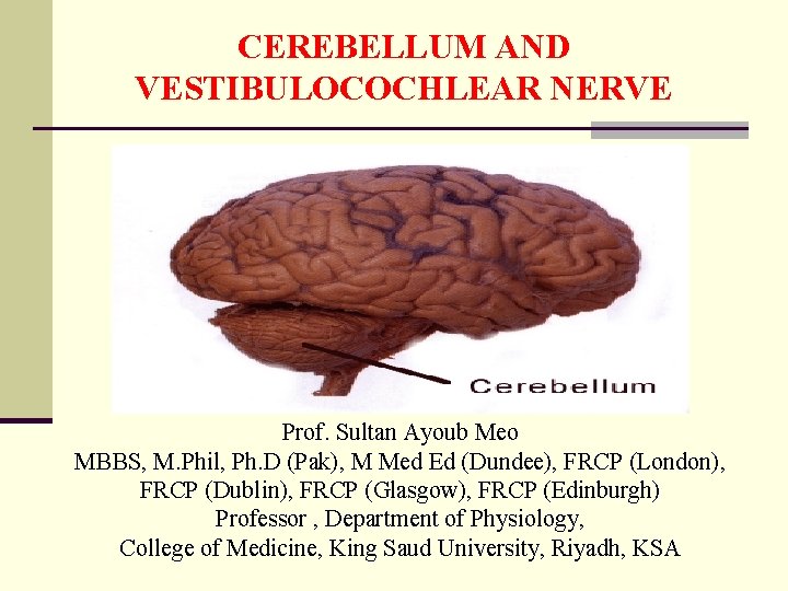 CEREBELLUM AND VESTIBULOCOCHLEAR NERVE Prof. Sultan Ayoub Meo MBBS, M. Phil, Ph. D (Pak),