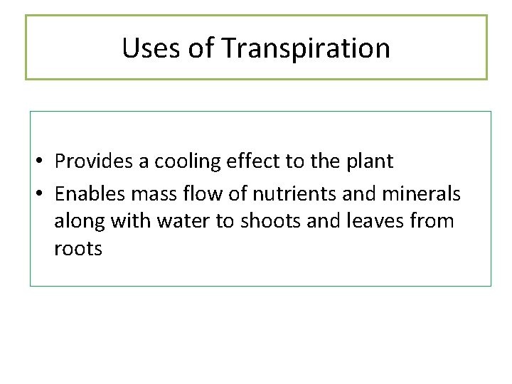 Uses of Transpiration • Provides a cooling effect to the plant • Enables mass