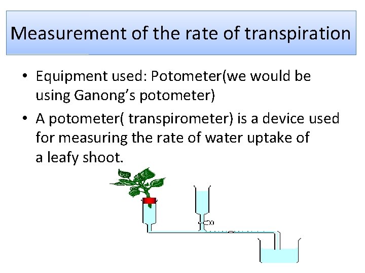 Measurement of the rate of transpiration • Equipment used: Potometer(we would be using Ganong’s