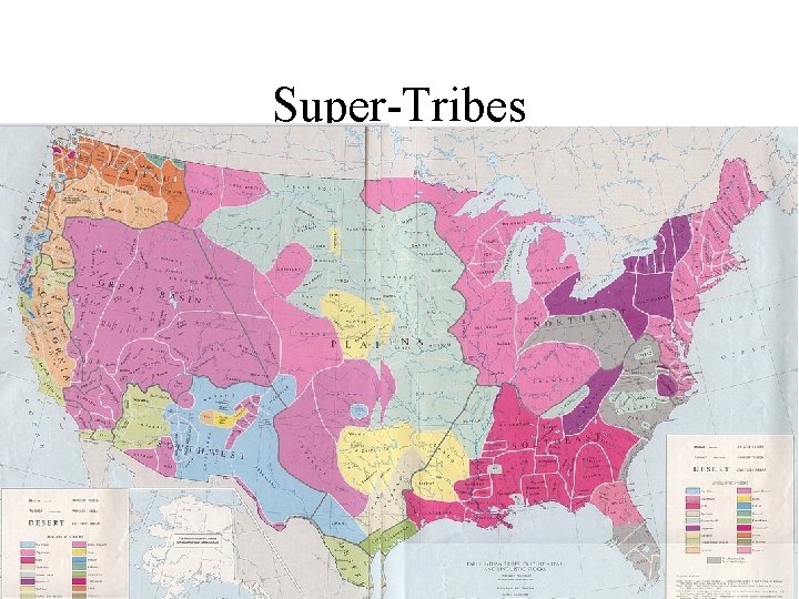 Super-Tribes Super-Tribes