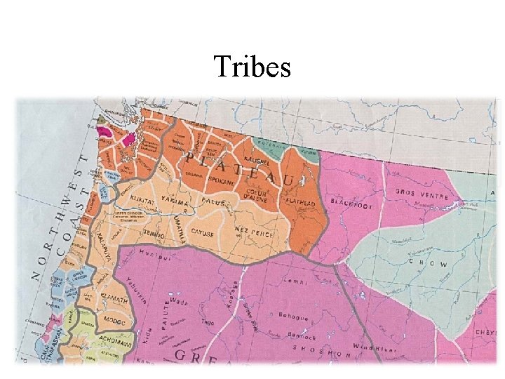 Tribes 