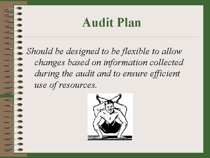 Audit Plan Should be designed to be flexible to allow changes based on information