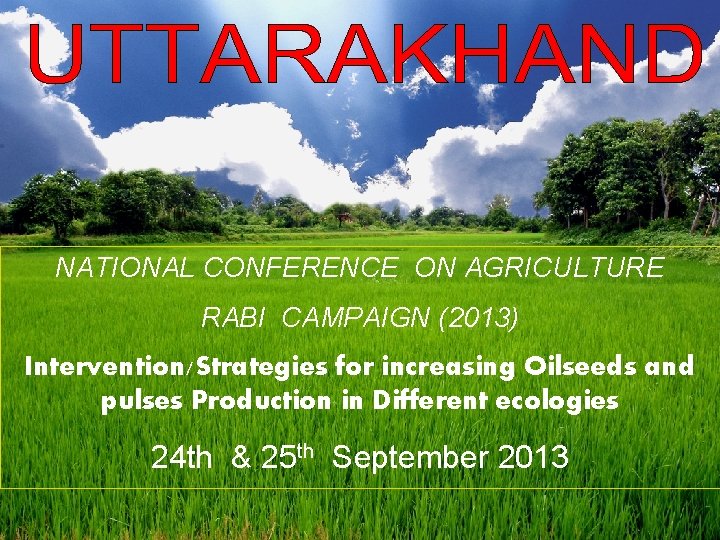 NATIONAL CONFERENCE ON AGRICULTURE RABI CAMPAIGN (2013) Intervention/Strategies for increasing Oilseeds and pulses Production